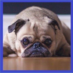 lonely songs for anti-depression